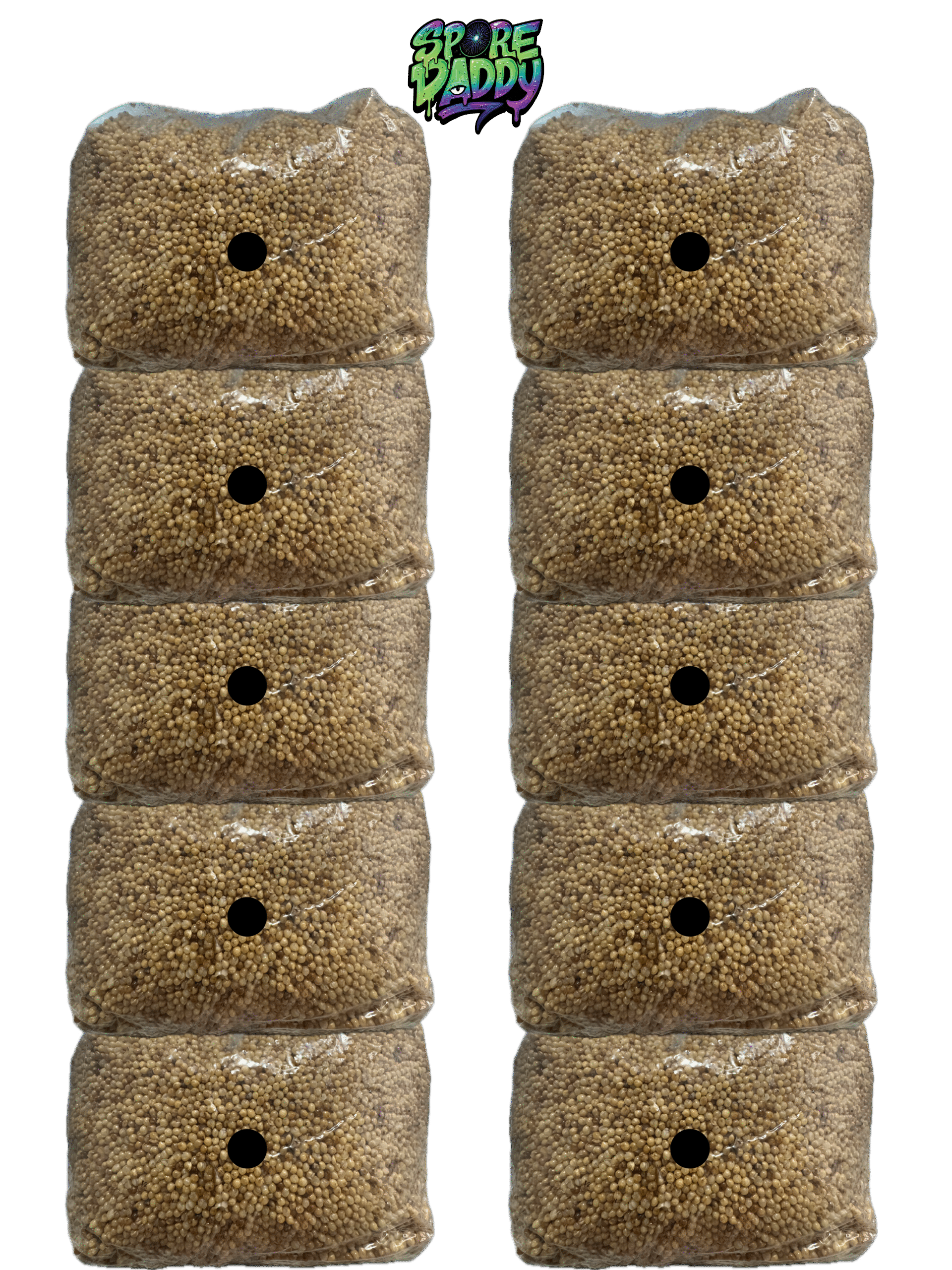 3 lbs sterilized millet with injection port. (10) Pack Bundle