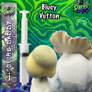 Bluey Vutton Mushroom Liquid Culture (10ml)