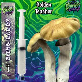Golden Teacher Mushroom Liquid Culture (10ml)