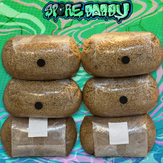 3 lbs sterilized millet with injection port. 30 LBS PACK