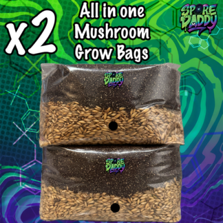 Mushroom Grow Bag. (Double Pack) x2