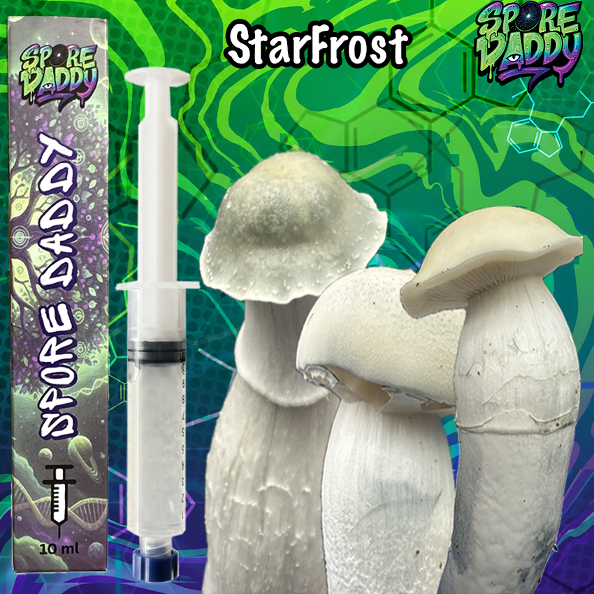 Starfrost Mushroom Liquid Culture (10ml)