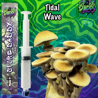Tidal Wave Mushroom Liquid Culture (10ml)