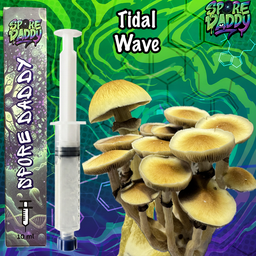 Tidal Wave Mushroom Liquid Culture (10ml)