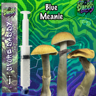 Blue Meanie Mushroom Liquid Culture (10ml)