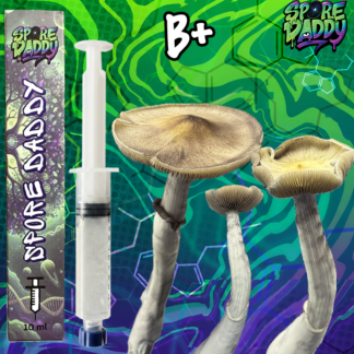 B+ Isolated Spore Syringe (10ml)