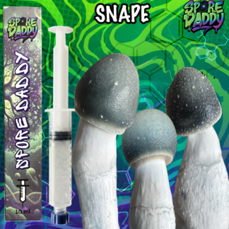 Starry Night x APE (SNAPE) Isolated Spore Syringe (10 ML)