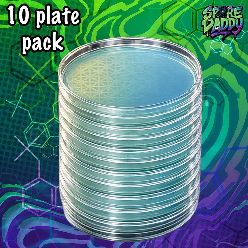 Agar plates | 10 Pack | Vigorous Rope Recipe