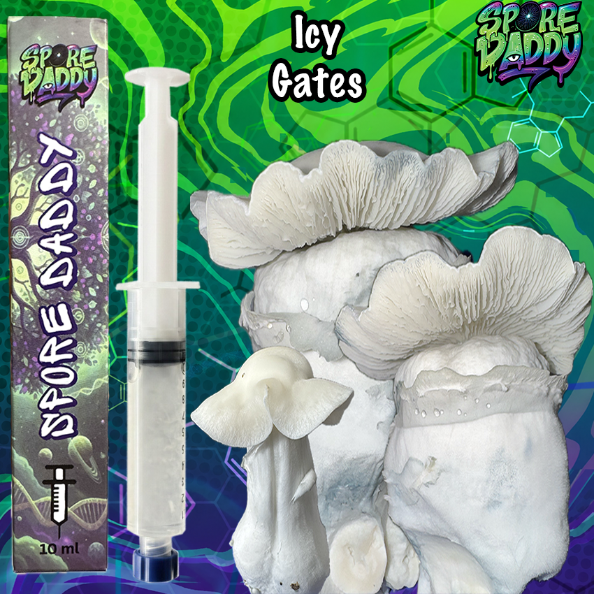 Icy Gates Isolated Spore Syringe (10ML)