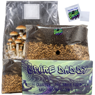 Mushroom Grow Bag | 4 lbs | Manure/Oats