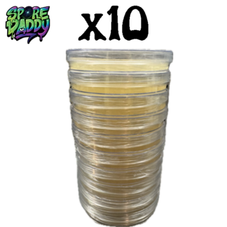 Agar plates | 10 Pack | Vigorous Rope Recipe