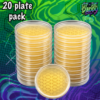 Agar plates | 20 Pack | Vigorous Rope Recipe