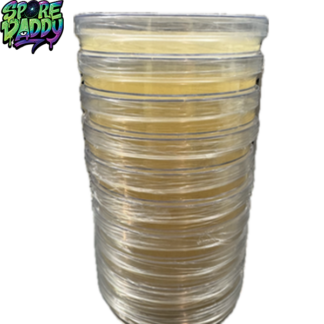 Agar plates
