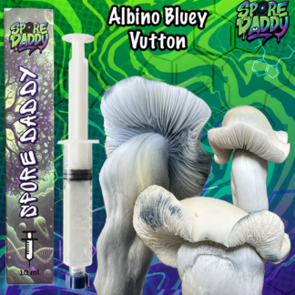 Albino Bluey V. Mushroom Liquid Culture (10ML)