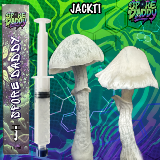Jackfrost X Shakti (JACKTI) Mushroom Liquid Culture (10ML)