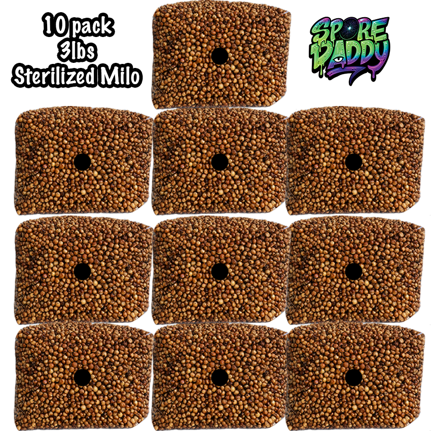 Milo Sorghum Grain Spawn | 10 pack | 3 lbs