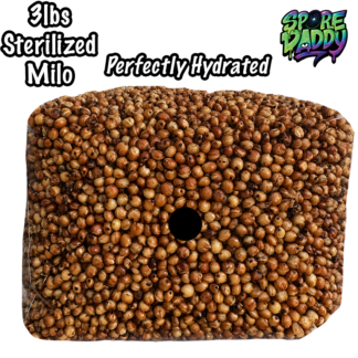 Milo Sorghum Grain Spawn | 3 lbs