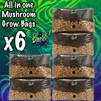 Mushroom Grow Bag | 6 Pack | 4 lbs | Manure Substrate/Hydrated Oats
