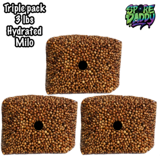 Milo Sorghum Grain Spawn | Triple Pack | 3 lbs