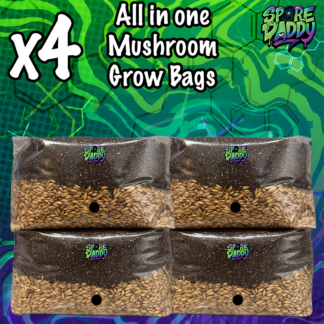 Mushroom Grow Bags | All in one | 4 Pack | Manure Substrate/Hydrated Oats